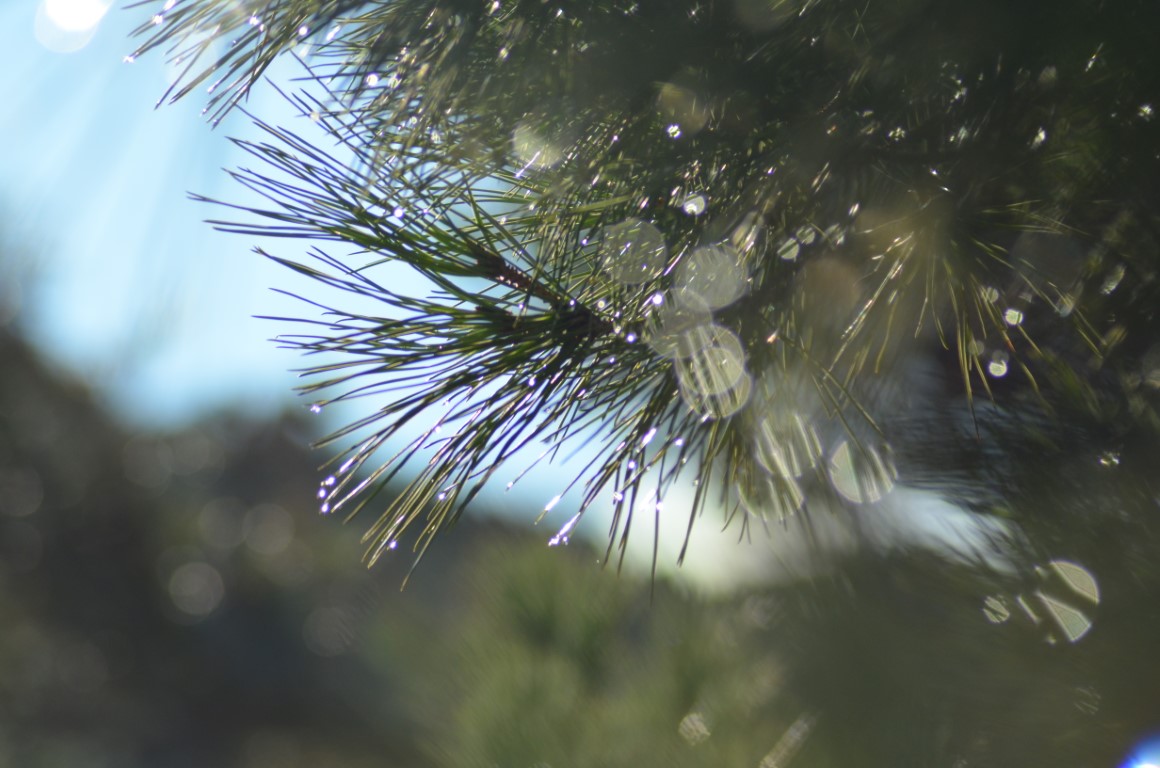 No s'ha trobat l'arxiu